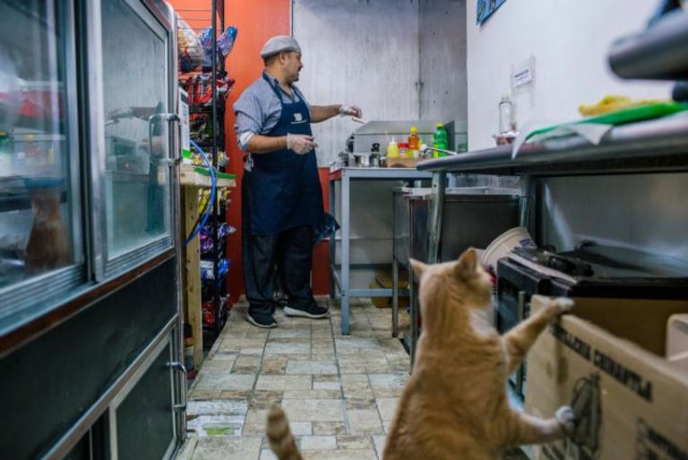 حاتم الجمسي من خلف أحد أرفف محل عمل السندويتشات (نيويورك تايمز)