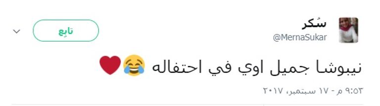 نيبوشا وجهازه المعاون