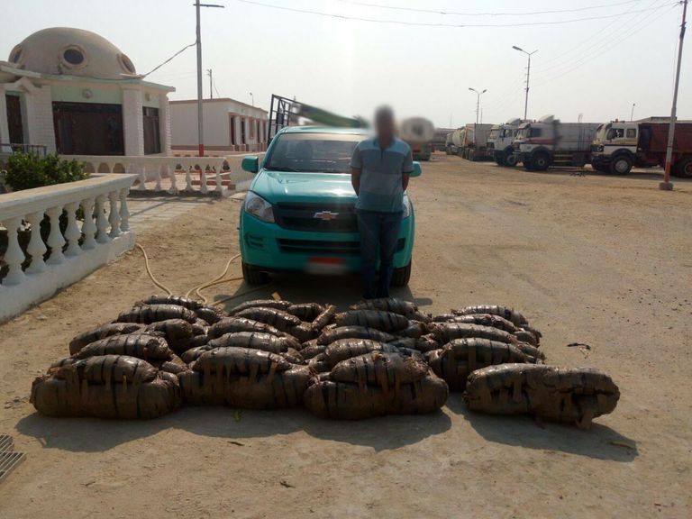 الجيش المصري في سيناء - أرشيفية