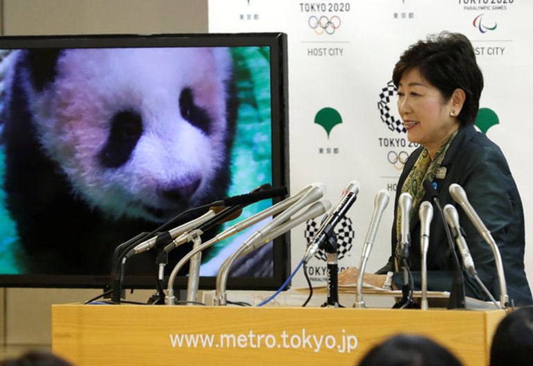 حديقة حيوان طوكيو تطلق اسم "عبير" على مولودة الباندا الجديدة