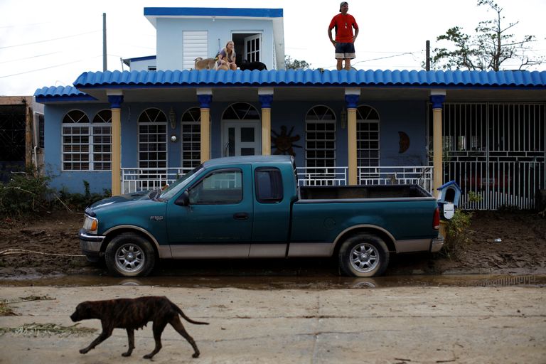 ساندرا وجاري