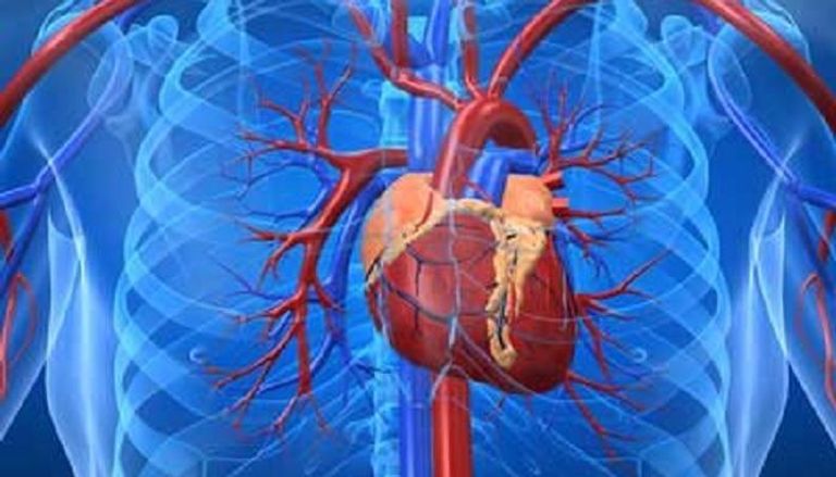 10 أعراض شائعة للأمراض القلبية