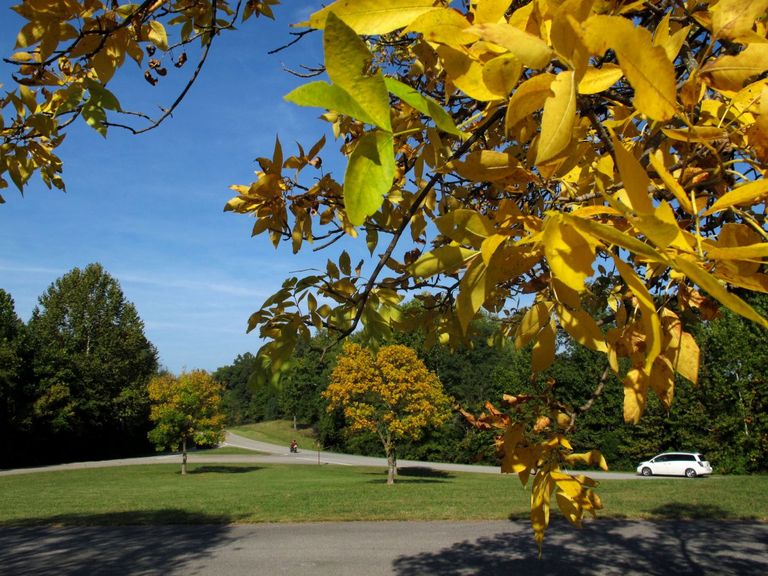 الطريق السريع في ولاية تينيسي حيث الأشجار الكثيفة والشلالات