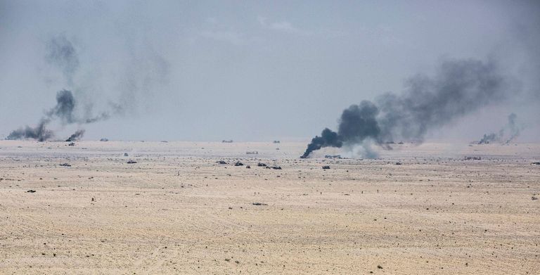 قادة عسكريون إماراتيون وأمريكيون يتابعون التدريبات