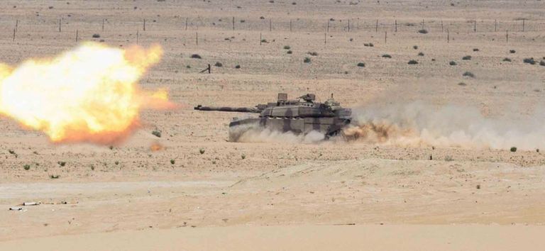 قادة عسكريون إماراتيون وأمريكيون يتابعون التدريبات