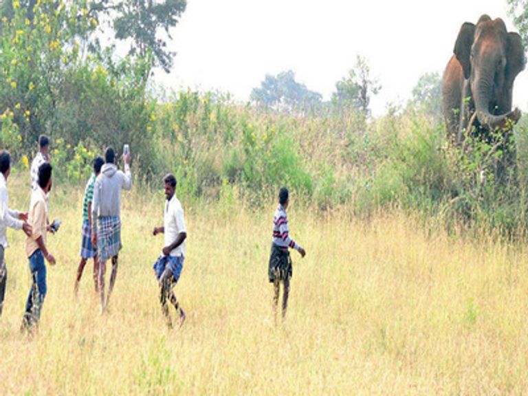 قرويون هنود بصحبة فيل صغير 