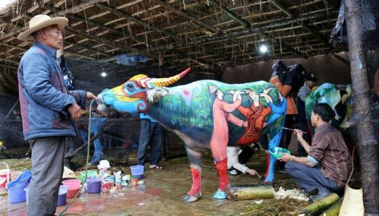 مسابقة الرسم على جلود البقر بالصين 