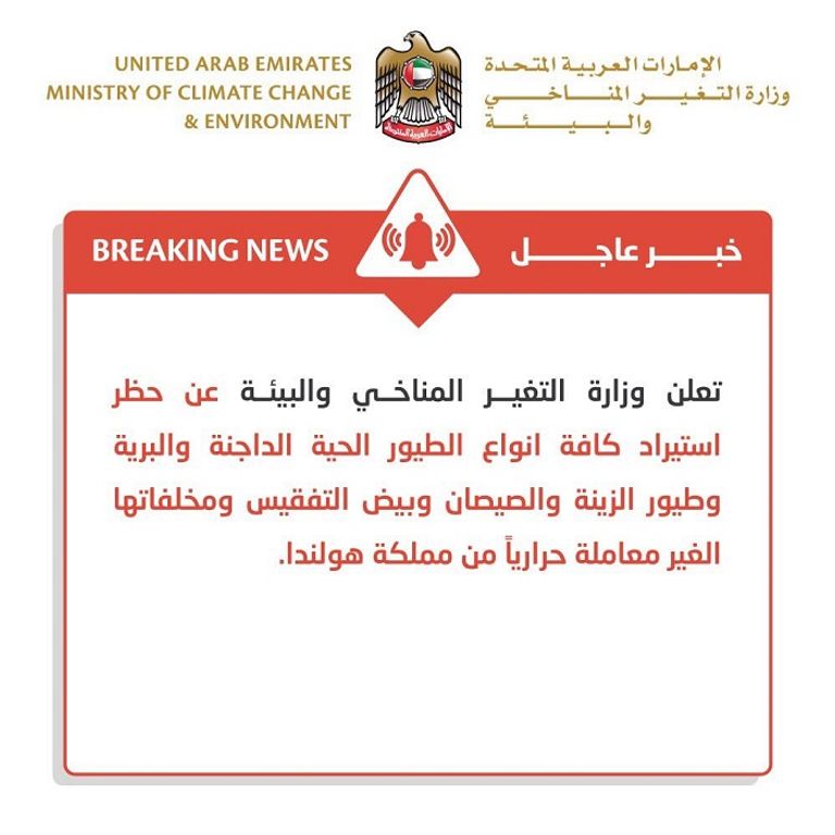 حظر استيراد الطيور الحية من هولندا 