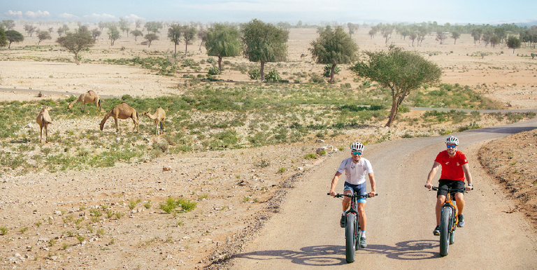 مغامرات و تجارب استثنائية تناسب مختلف الفئات العمرية جانب من مغامرات مركز مليحة للآثار