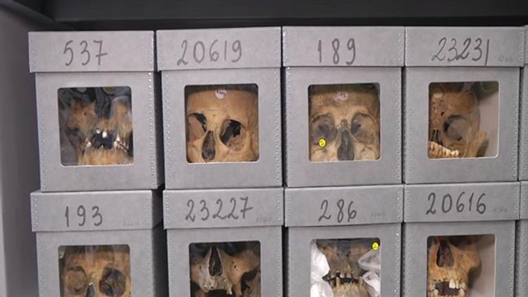 جماجم شهداء الجزائر الموجودين بالمتحف الفرنسي للتاريخ الطبيعي في باريس