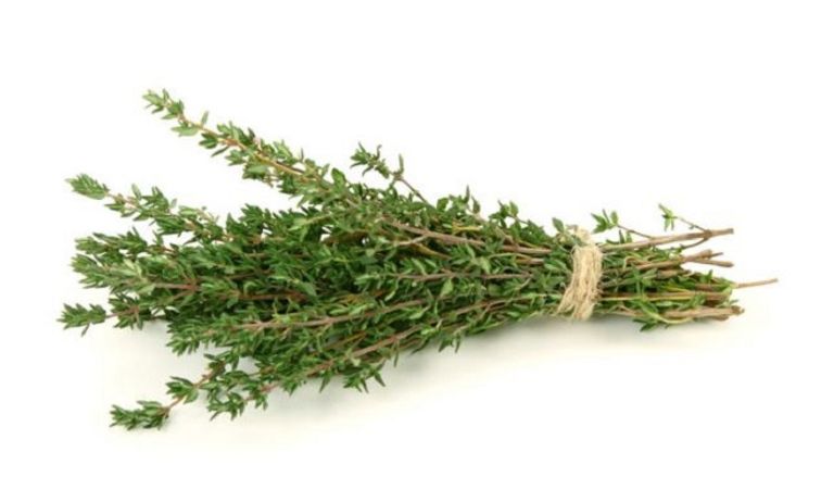 فوائد الزعتر وزيت الزيتون للتخسيس