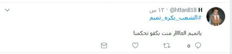 أمير قطر تميم بن حمد آل ثاني