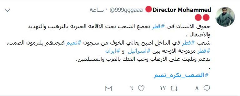 أمير قطر تميم بن حمد آل ثاني