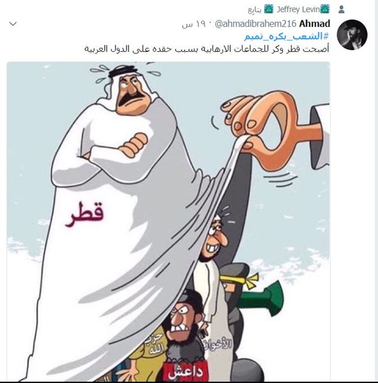 أمير قطر تميم بن حمد آل ثاني