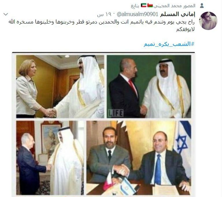 أمير قطر تميم بن حمد آل ثاني