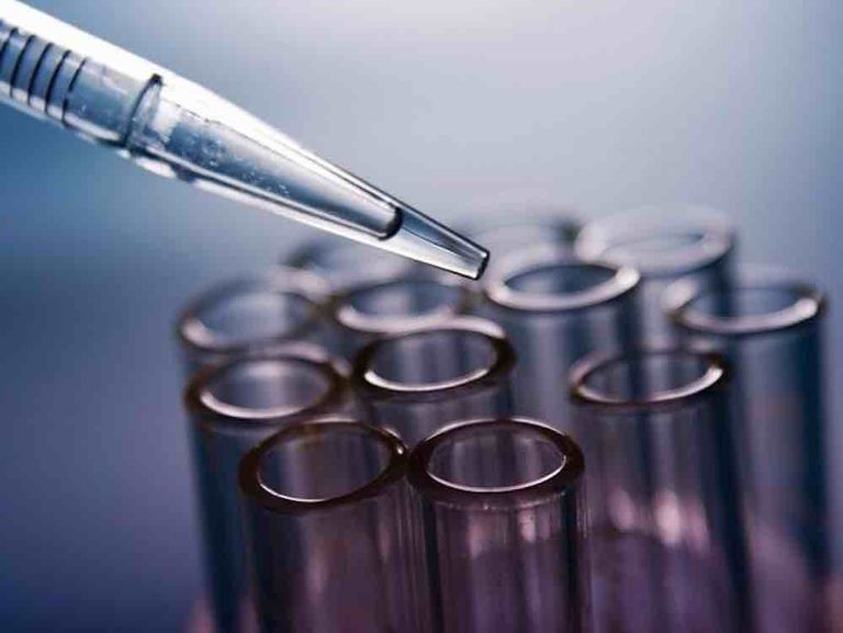 تجارب علمية معمقة لإعادة إحياء المخ الميت