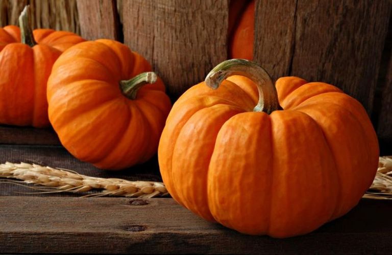 السردين من 10 أطعمة تحفظ نشاطك وحيويتك