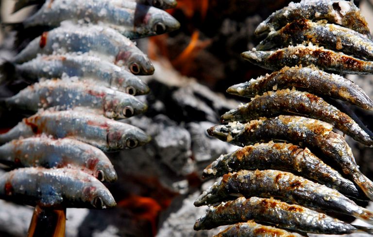 السردين من 10 أطعمة تحفظ نشاطك وحيويتك