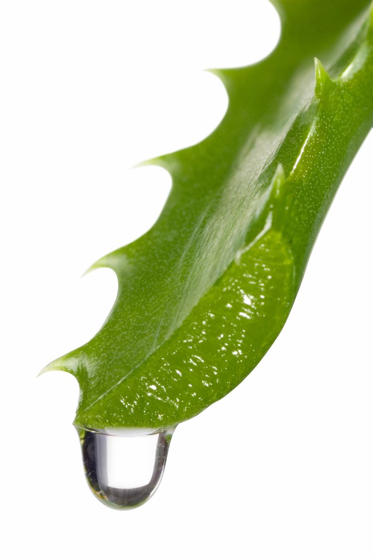 الشباب الدائم في خلاصة