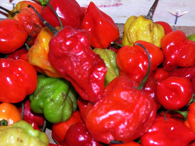 كل لون يدل على عناصر غذائية معينة الخضراوات والفاكهة.. ألوان للحياة وسلاح للصحة - أرشيفية