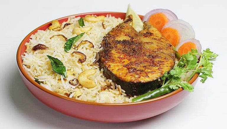 طريقة عمل صيادية السمك اللبنانية