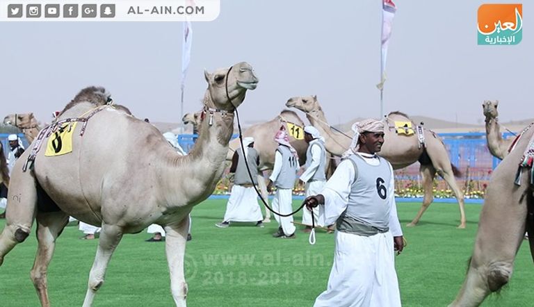 انطلاق فعاليات مهرجان سلطان بن زايد 2018