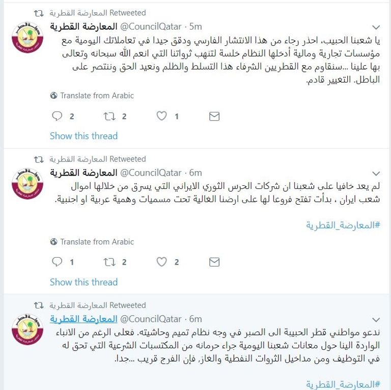 تميم بن حمد، أمير قطر