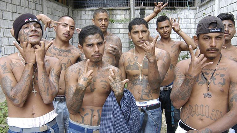 العصابة تجند المراهقين تجنيد المرتزقة وسيلة قطرية لتهديد دول الجوار