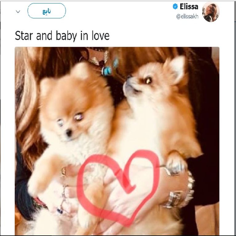 نانسي عجرم تتنافس مع إليسا على اقتناء الكلاب