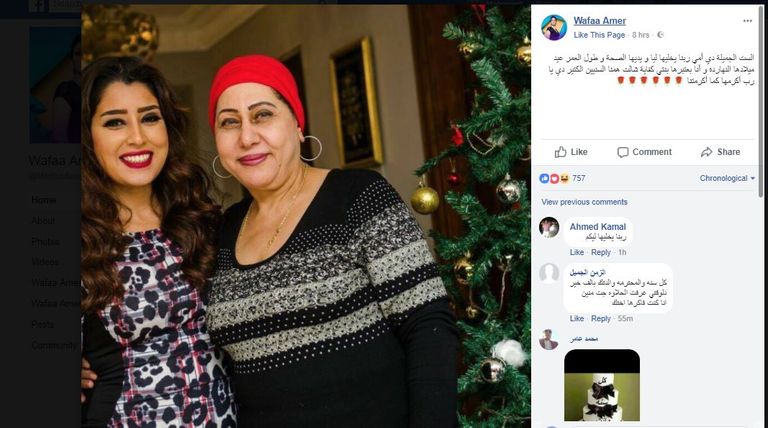 الفنانة المصرية وفاء عامر