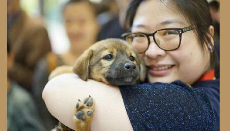 فتاة صينية تحمل إحدى الكلاب الشريدة