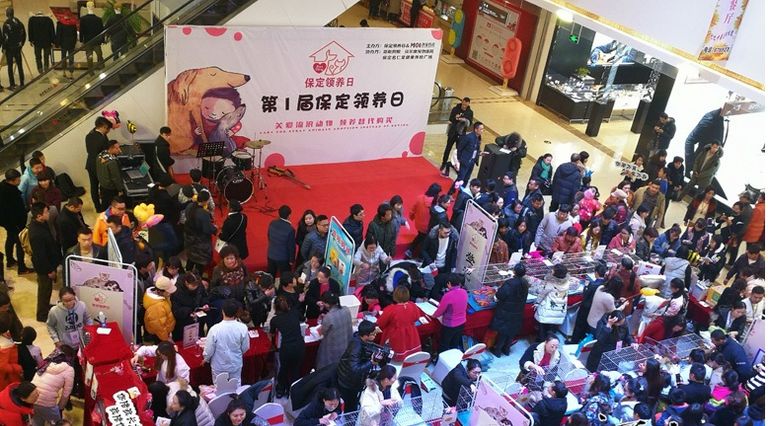 38 مدينة صينية استضافت الحدث في وقت واحد فتاة صينية تحمل إحدى الكلاب الشريدة