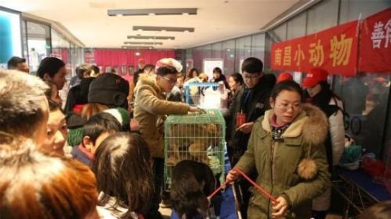 عدد سكان المدن التي استضافت اليوم يبلغ نحو 325 مليون نسمة فتاة صينية تحمل إحدى الكلاب الشريدة