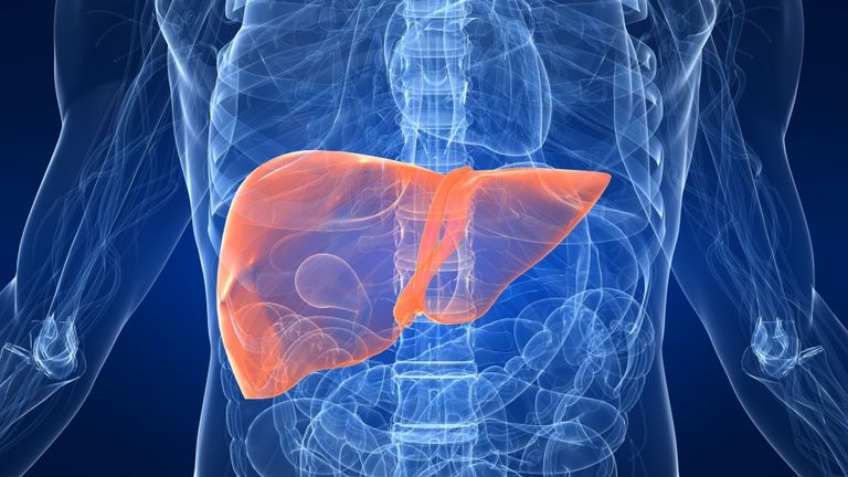 تحليل الدم أول خطوات اكتشاف المرض