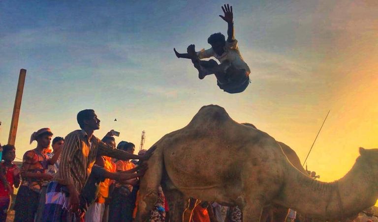 الإمارات ترعى عرسا جماعيا لـ100 شاب في الساحل الغربي لليمن