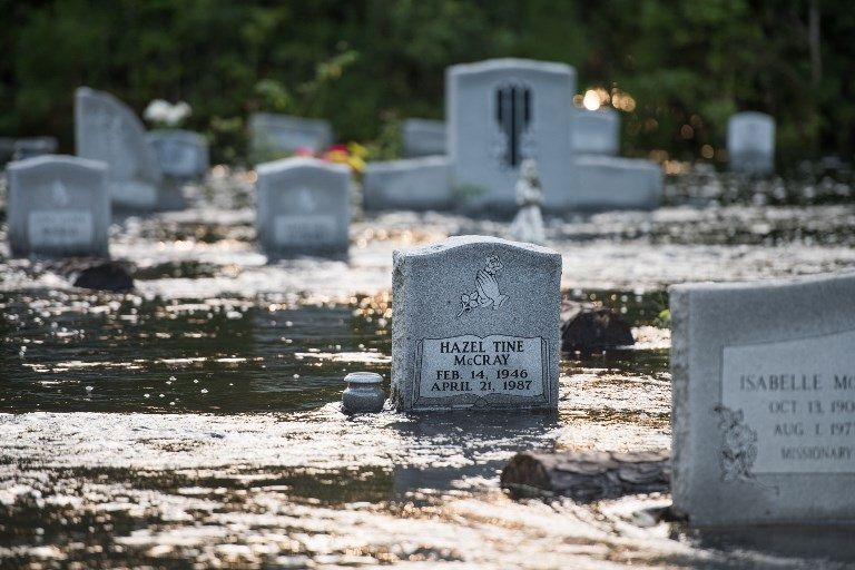 إعصار فلورنس إعصار فلورنس