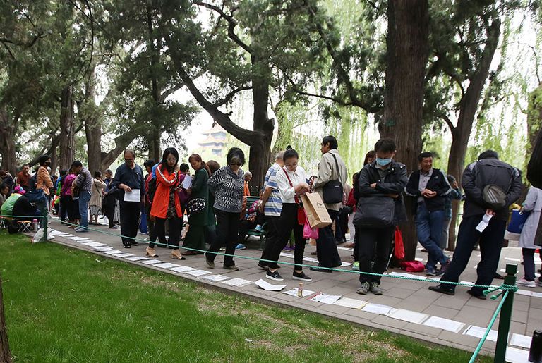 طريقة مبتكرة للزواج في الصين.. اكتب مواصفات شريك أحلامك على الأشجار