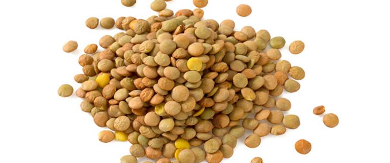 رئتا الإنسان