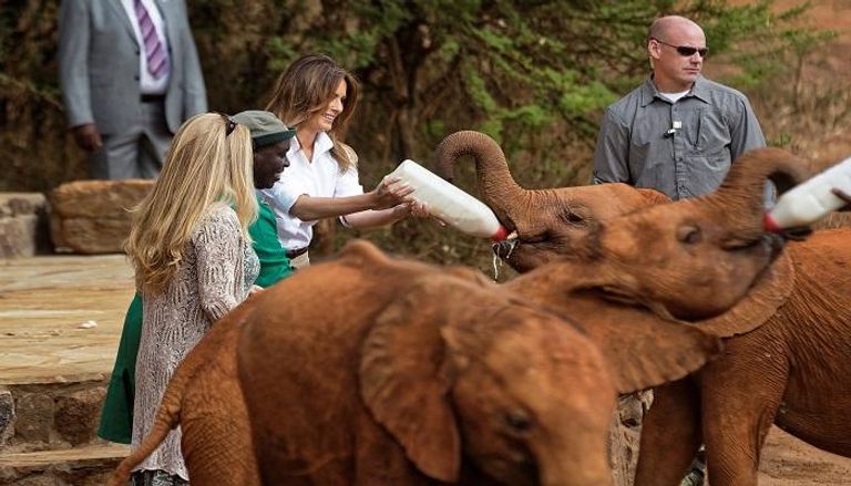 ميلانيا ترامب تطعم الأفيال في رحلة سفاري بكينيا 