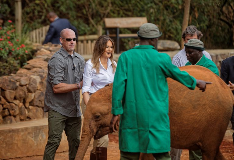 ميلانيا ترامب تطعم الأفيال في رحلة سفاري بكينيا 