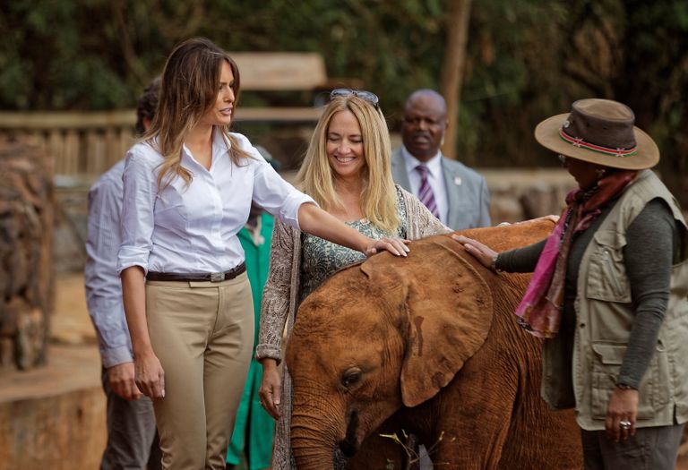 ميلانيا ترامب تطعم الأفيال في رحلة سفاري بكينيا 