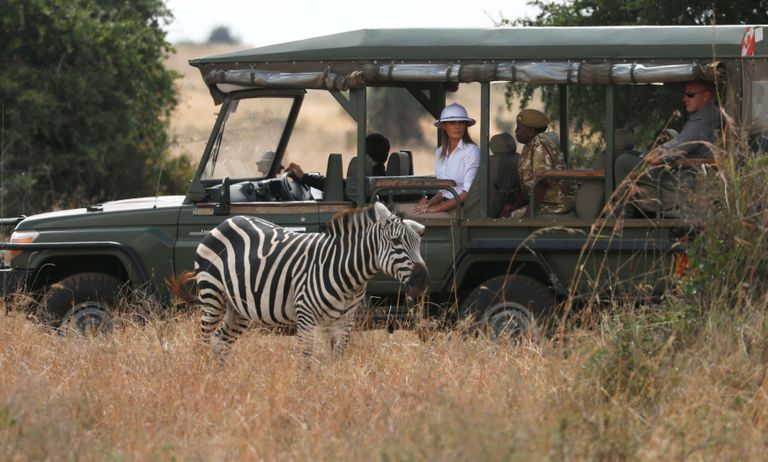 ميلانيا ترامب تطعم الأفيال في رحلة سفاري بكينيا 