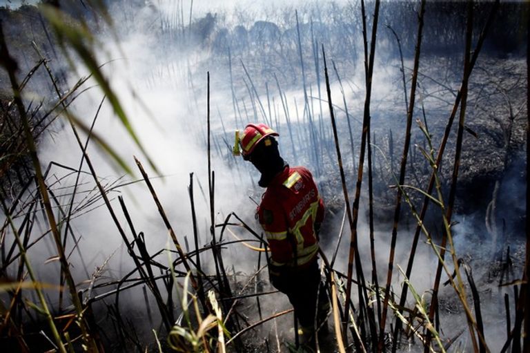 حريق مستعر في غابات البرتغال