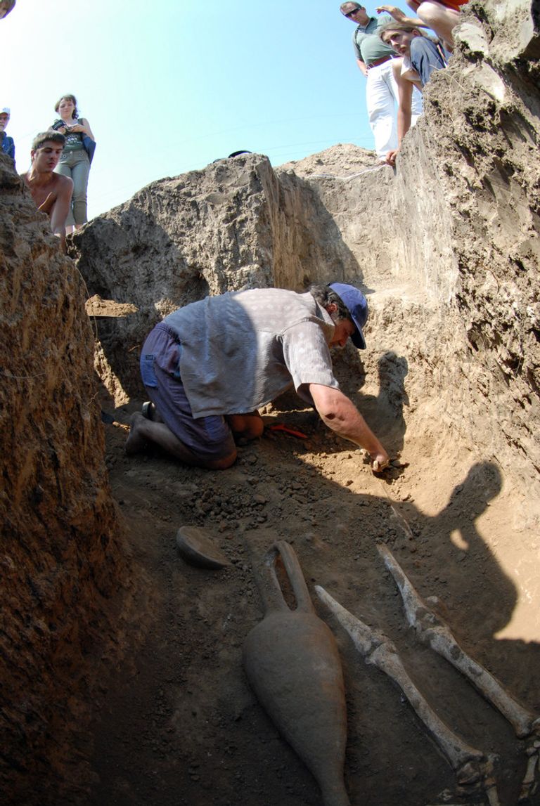 قطع أثرية من العصر البرونزي في روسيا قطع أثرية من العصر البرونزي في روسيا