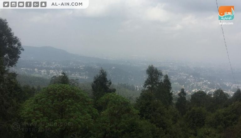 عجائز إثيوبيا يحملن الحطب على ظهورهن