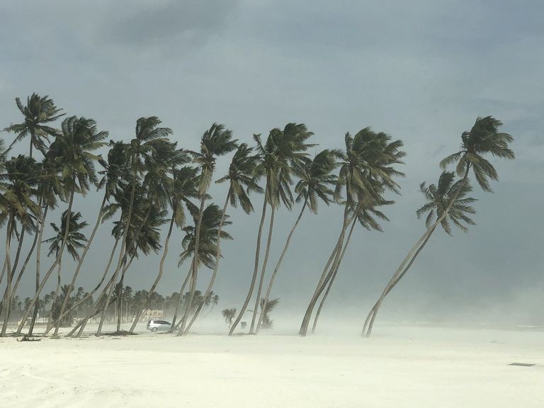 مقدمات إعصار لبان بدأت تظهر على السواحل العمانية