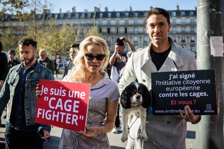 باميلا أندرسون داخل قفص دعما لحقوق الحيوانات