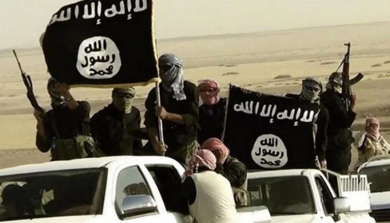 عناصر من تنظيم داعش - أرشيفية