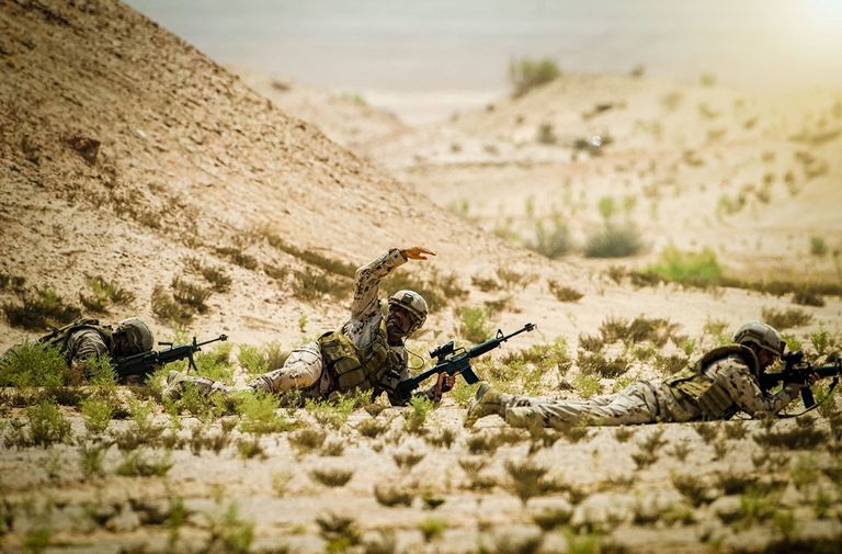 القوات المسلحة الإماراتية