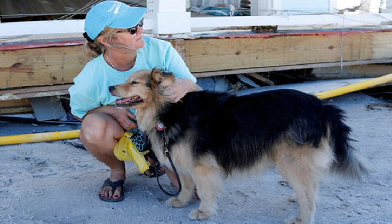 كلاب مدربة تشارك في البحث عن ناجين بعد إعصار مايكل بأمريكا